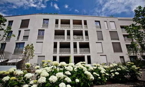 Neue Krone